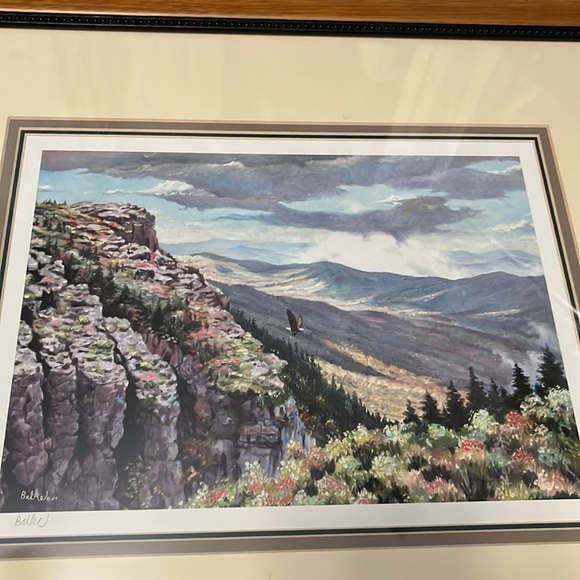 Lithograph signed by artist Don Balke 17.25 x 20” - Picture 8 of 8